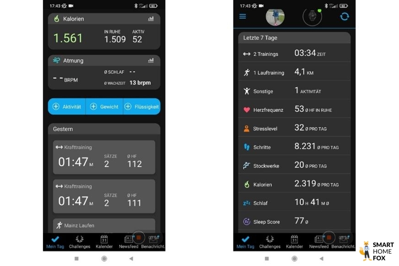 Записанные данные в приложении Garmin Connect.